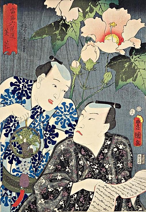 国立国会図書館デジタルコレクション「当盛六花選 芙蓉 (当盛六花撰)」を加工して作成